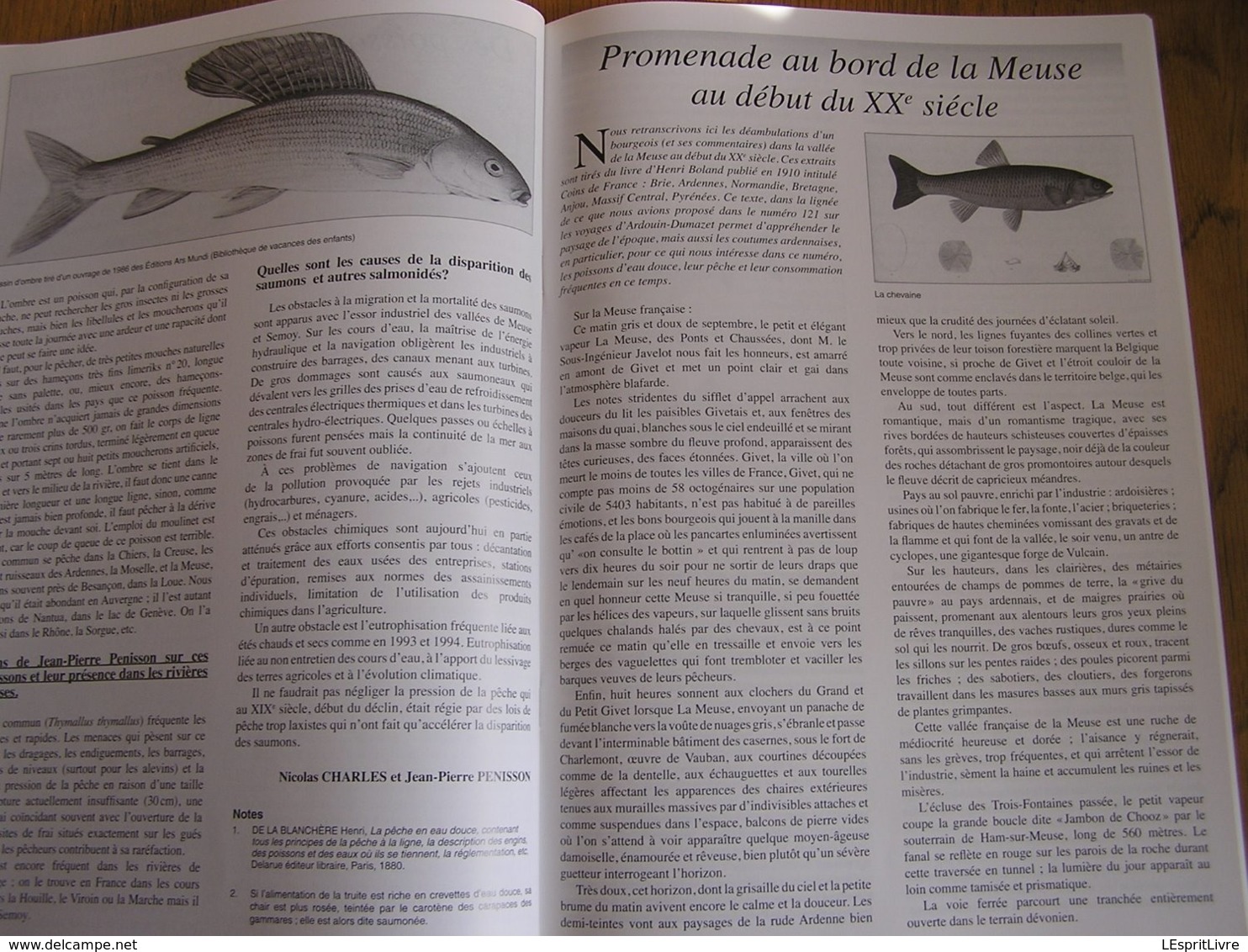 TERRES ARDENNAISES N° 128 Régionalisme Ardenne Spécial Pêche Meuse Semoy Semois Poissons Disparus Vendresse Givet Dun