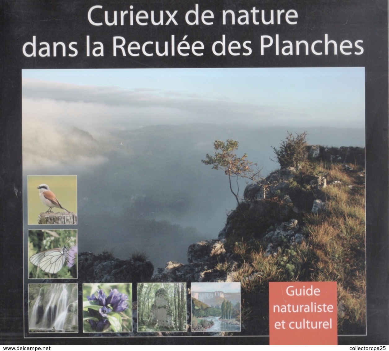 Curieux De Nature Dans La Reculée Des Planches Jura Arbois Guide Naturaliste Et Culturel Par Pascal Collin - Franche-Comté