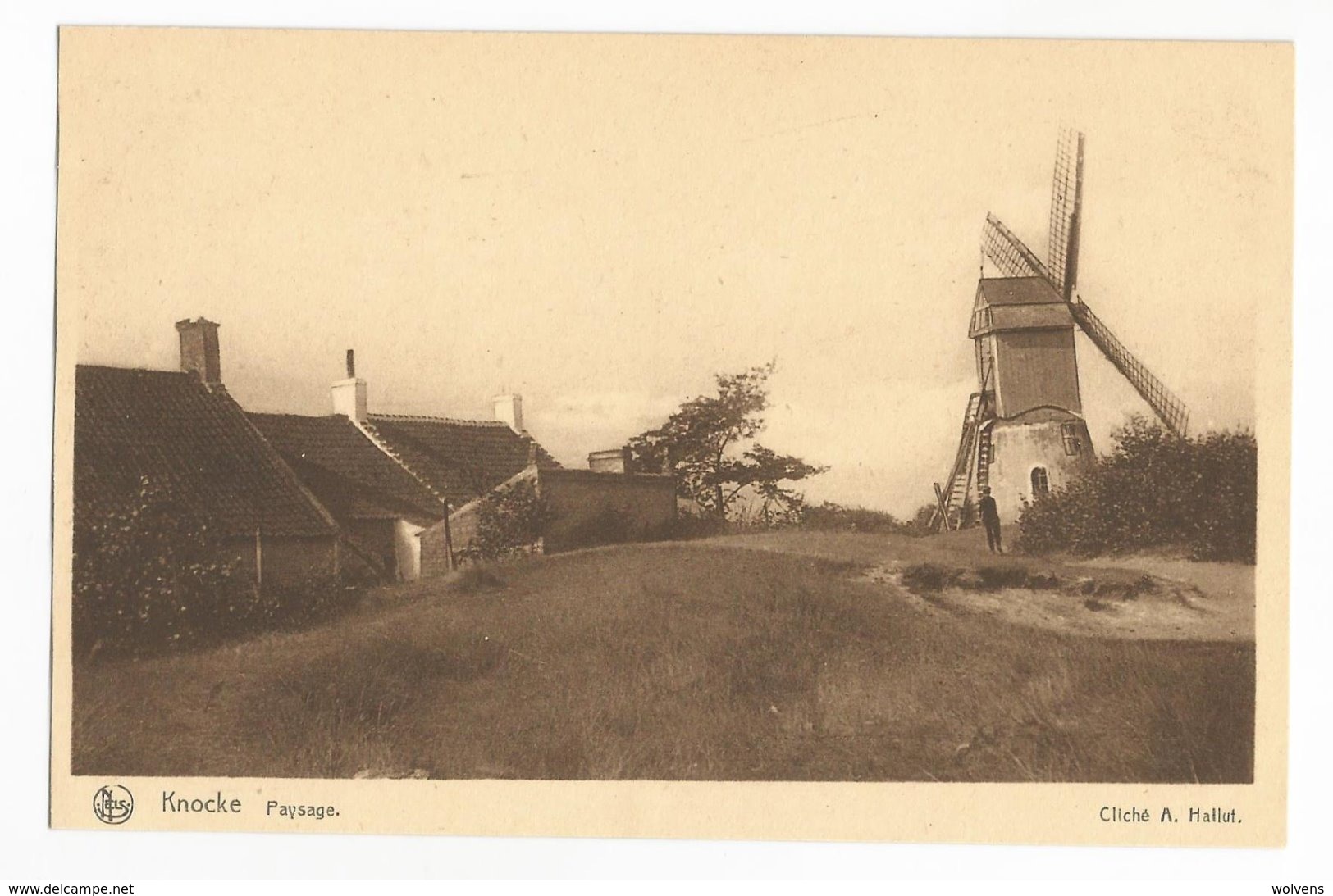 Knokke De Molen PK Knocke Paysage Le Moulin à Vent CPA - Knokke