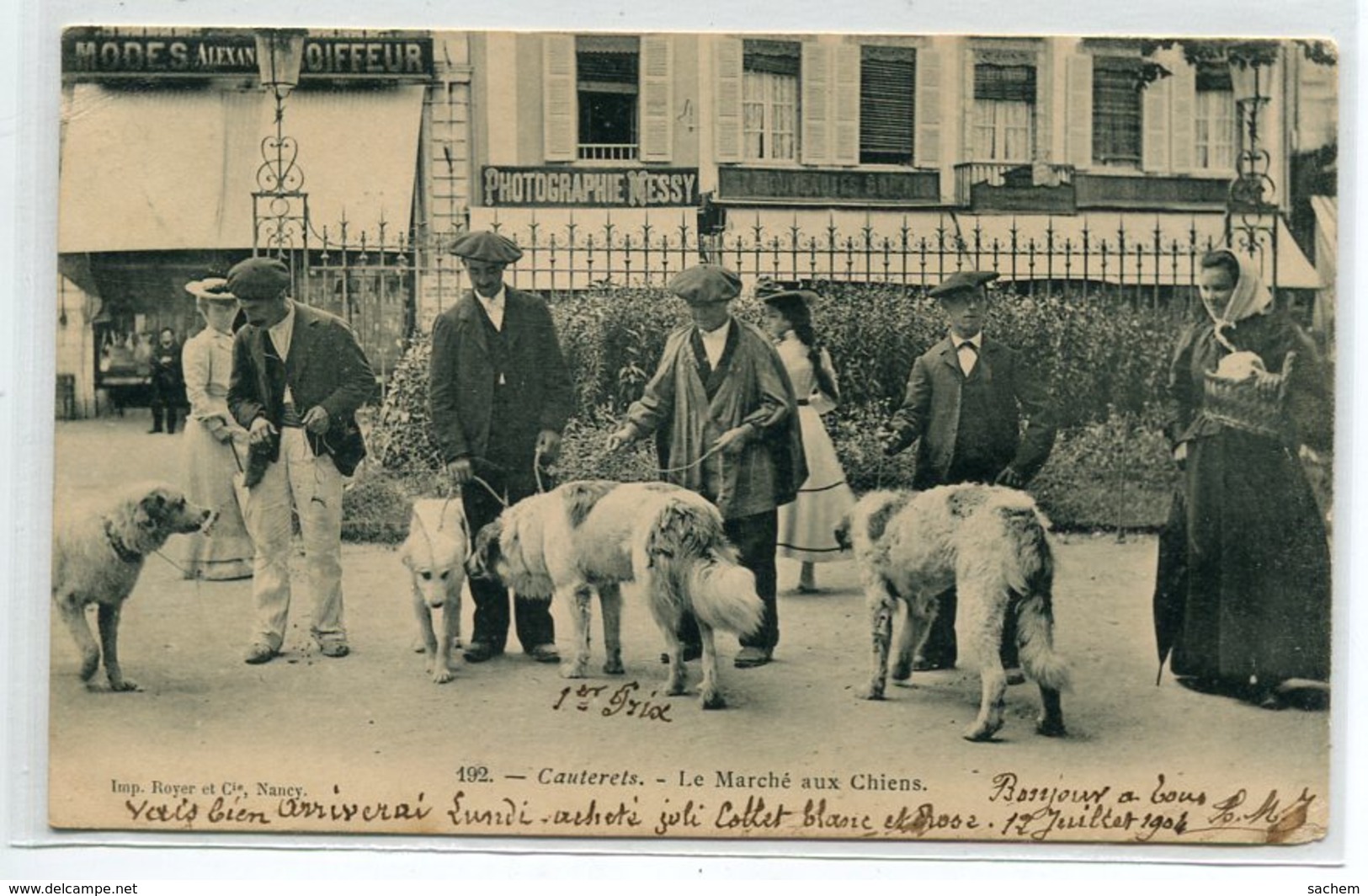65 CAUTERETS Le Marché Aux Chiens Place Commerce " Photographie MESSY "  1904 Timb    D15 2019 - Cauterets