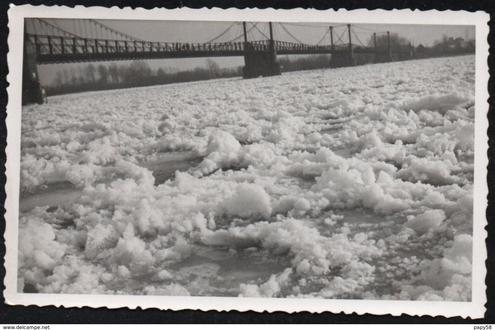 [44] Loire Atlantique > Ancenis Le Pont Carte Photo - Ancenis