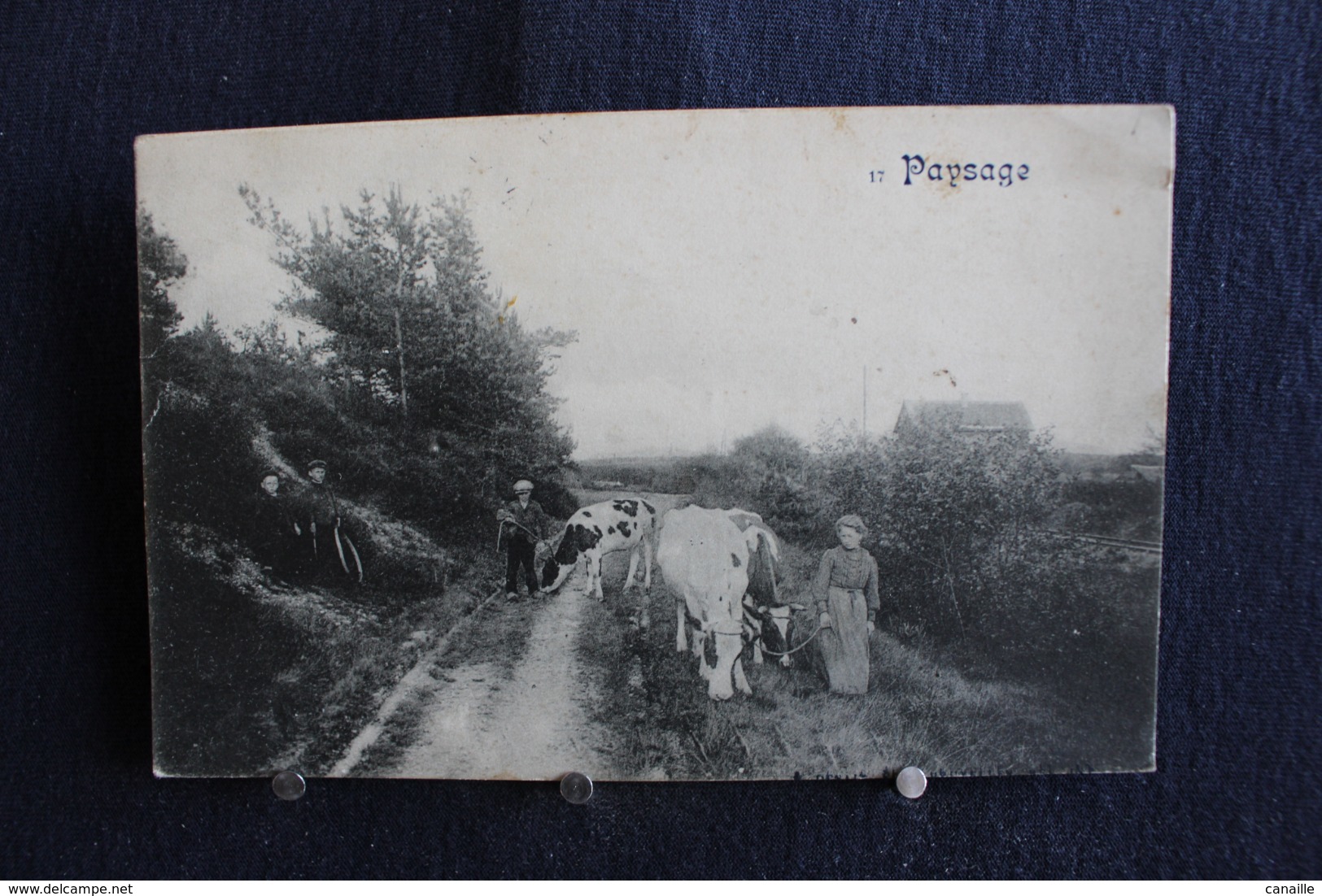 G-204 / Carte Voyagé-du Postes Militaires Belge De  Romicourt-Paysage Couple De Fermiers Aves Ses Vaches / Circulé 1920 - Remicourt