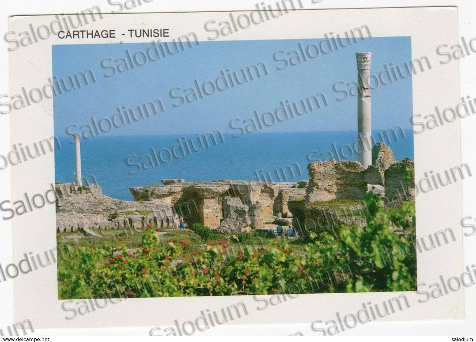 Tunisia - Republique Tunisienne - Charmes Et Douseur De Tunisie Les Thermes D'antonin Carthage   Storia Postale - Tunisia (1956-...)