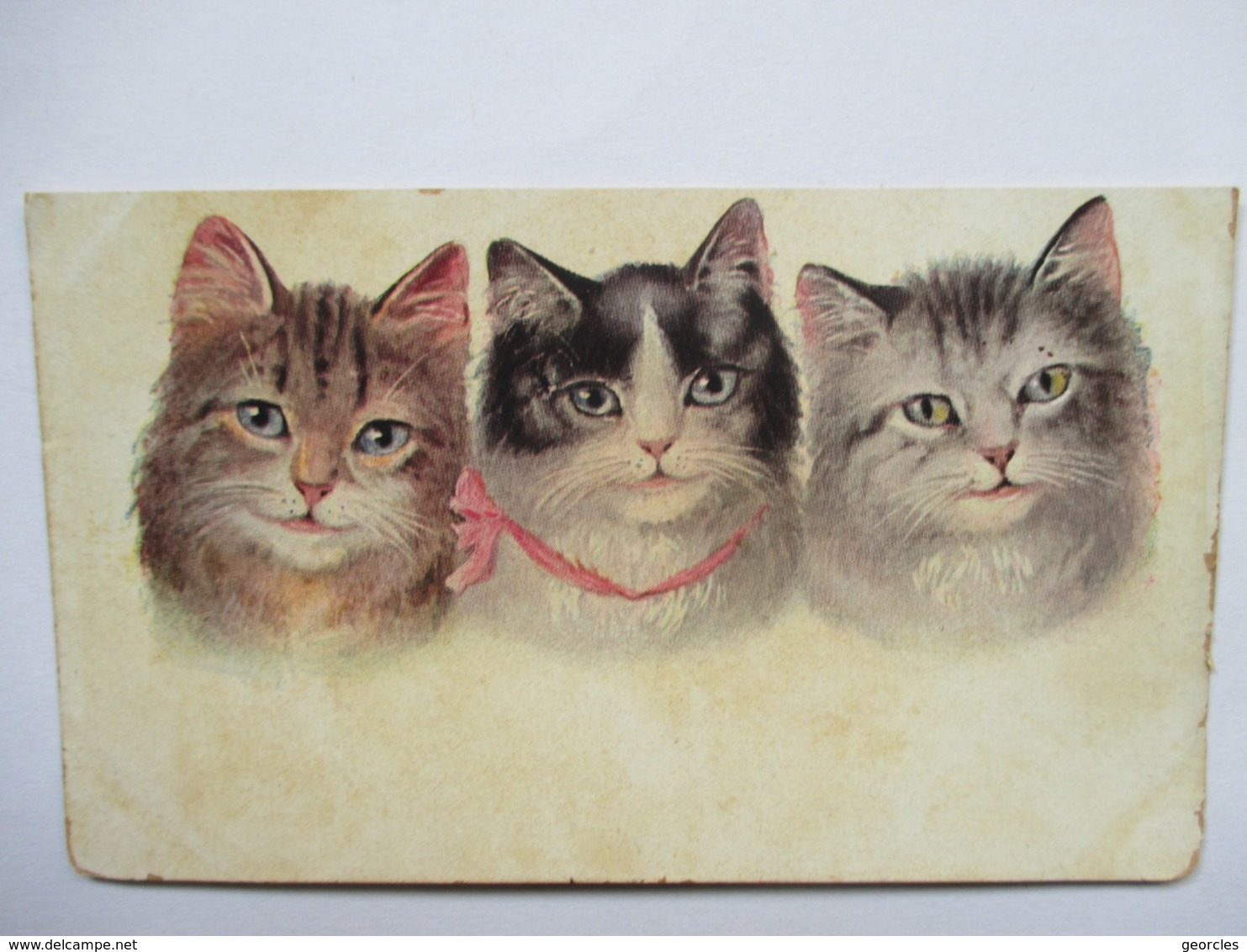 TROIS  CHATS       PUB  CHICOREE  CASIEZ           ROUSSEURS - Chats