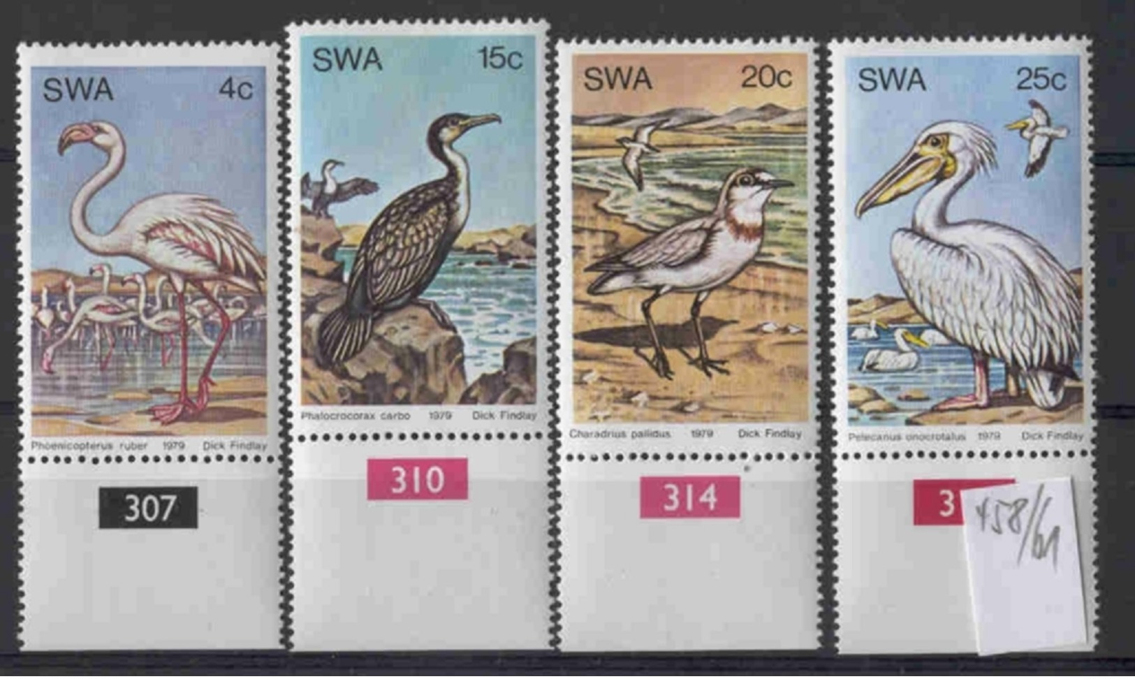 SWA (Namibia) - 458/61  Wasservögel  Kpl.S.postfr - South West Africa (1923-1990)