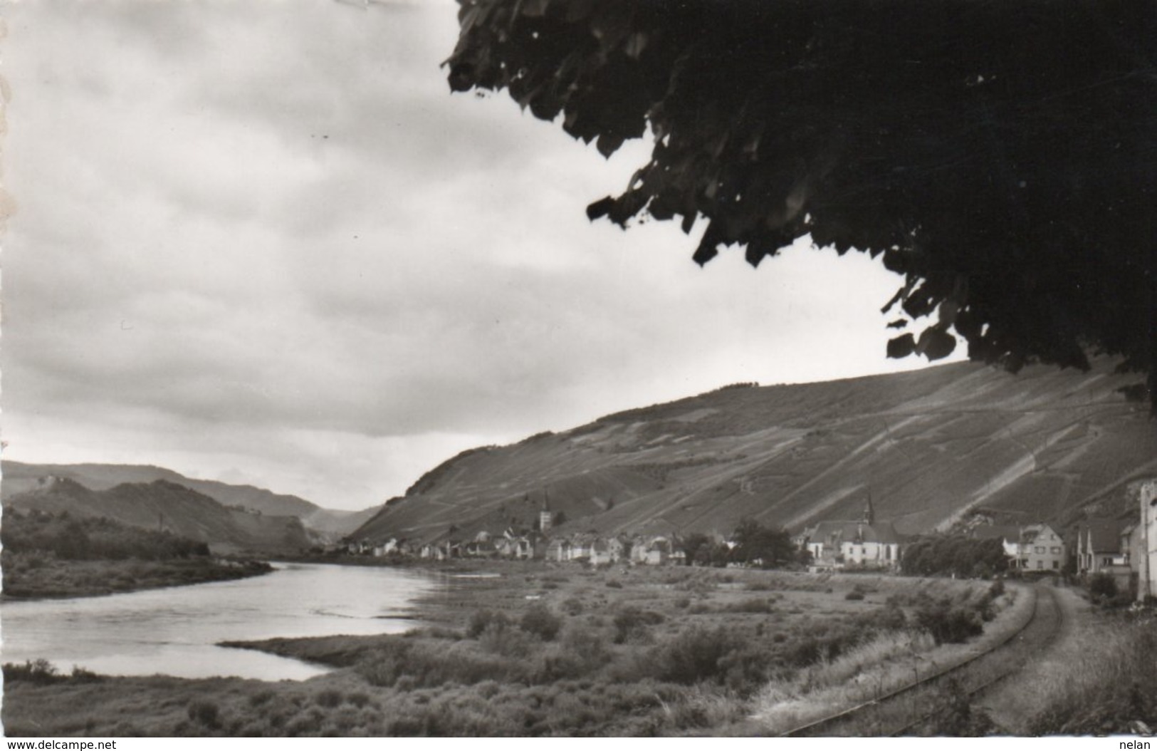 MERL A. D. MOSEL-1961-REAL PHOTO - Zell