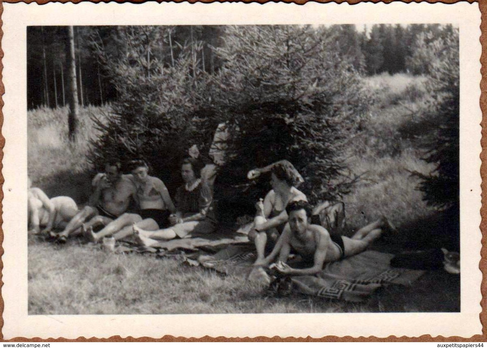 Photo Originale Groupe De Romantiques & Jolies Pin-Up Sexy & Leurs Amoureux En Forêt Vers  1940/50 - Pin-Ups