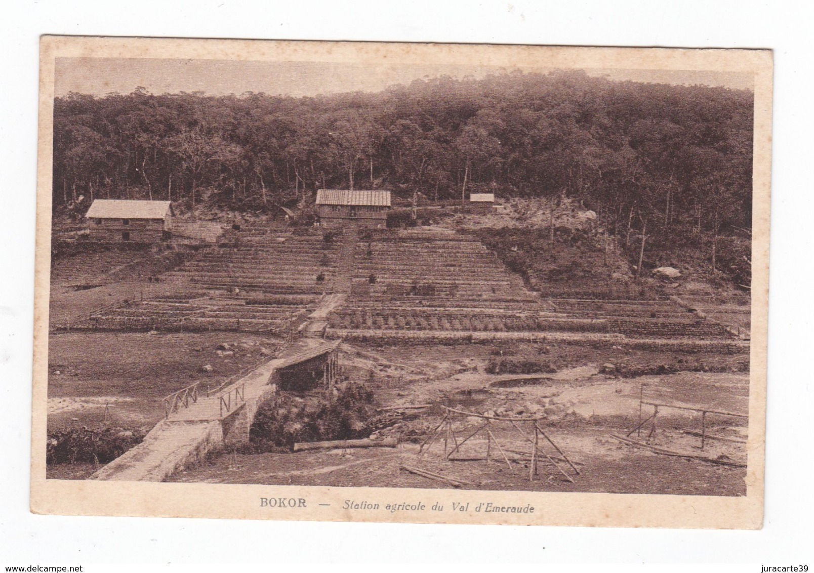 Bokor.Cambodge.Station Agricole Du Val D'Emeraude. - Cambodge