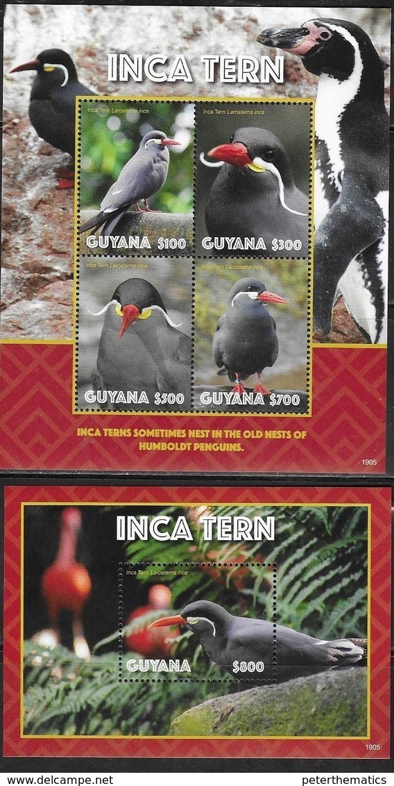 GUYANA, 2019, MNH, BIRDS, INCA TERN, SHEETLET+S/SHEET , HIGH FV - Other & Unclassified