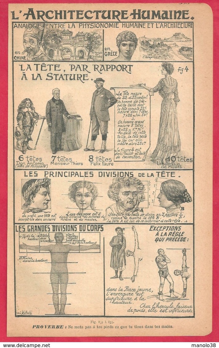 Les Femmes Au Travail, Médecins, Femme De Lettre...ouvrières Agricoles, Recto. L'architecture Humaine, Verso. 1901. - Documents Historiques