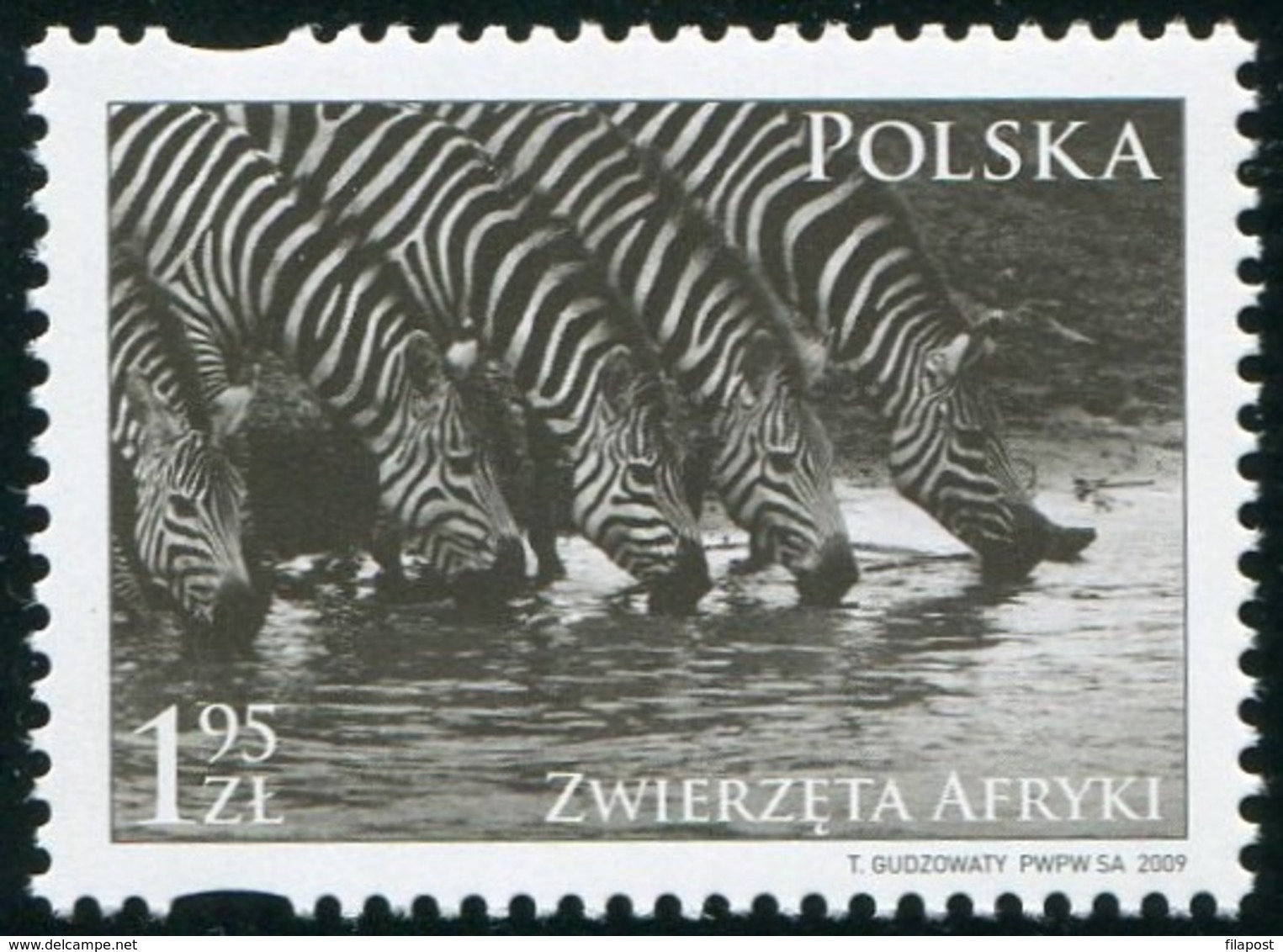 Poland 2009 Animals Of Africa Zebras  MNH** - Ungebraucht