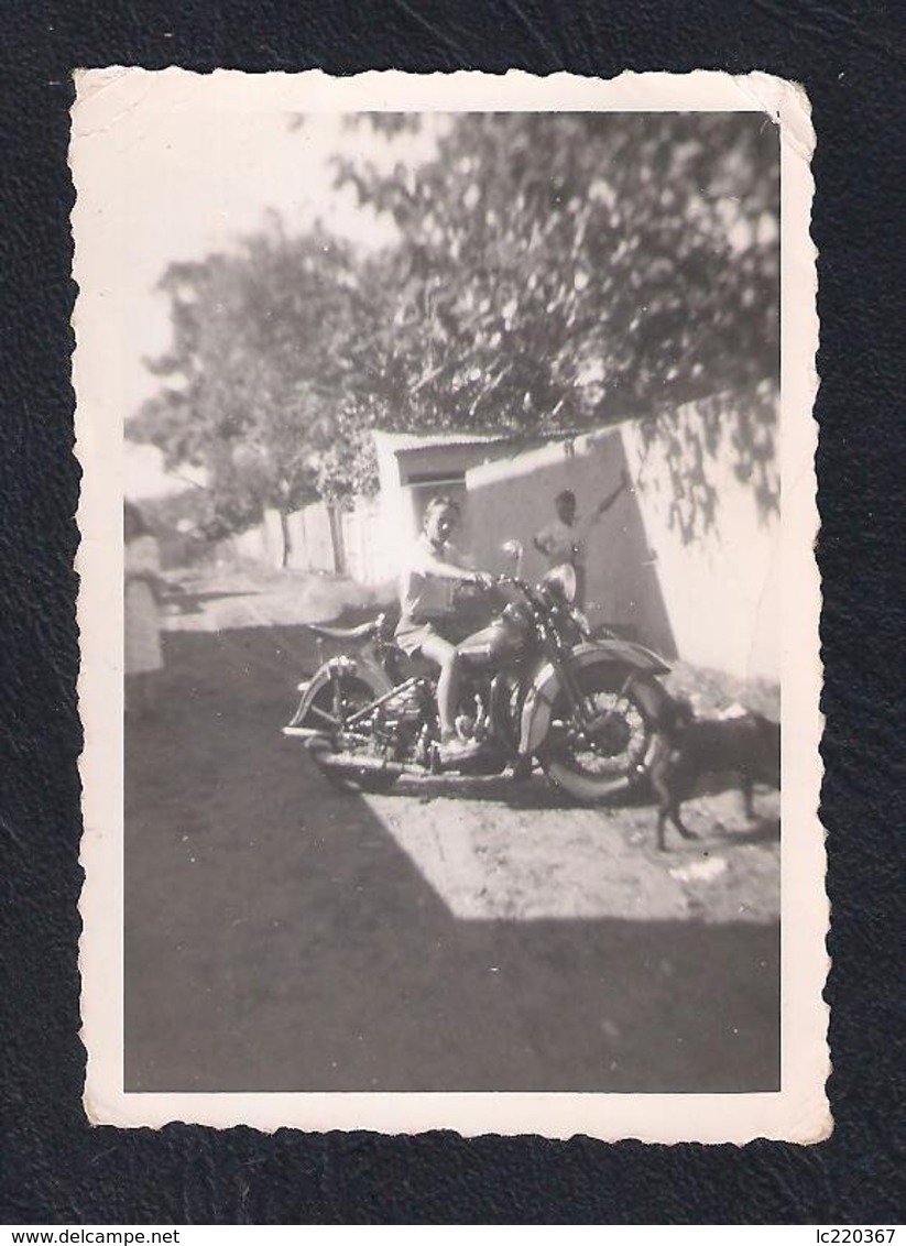 REAL PHOTO PORTUGAL MOTA MOTOCICLETA MOTORCYCLE HARLEY-DAVIDSON 1950'S - Radsport