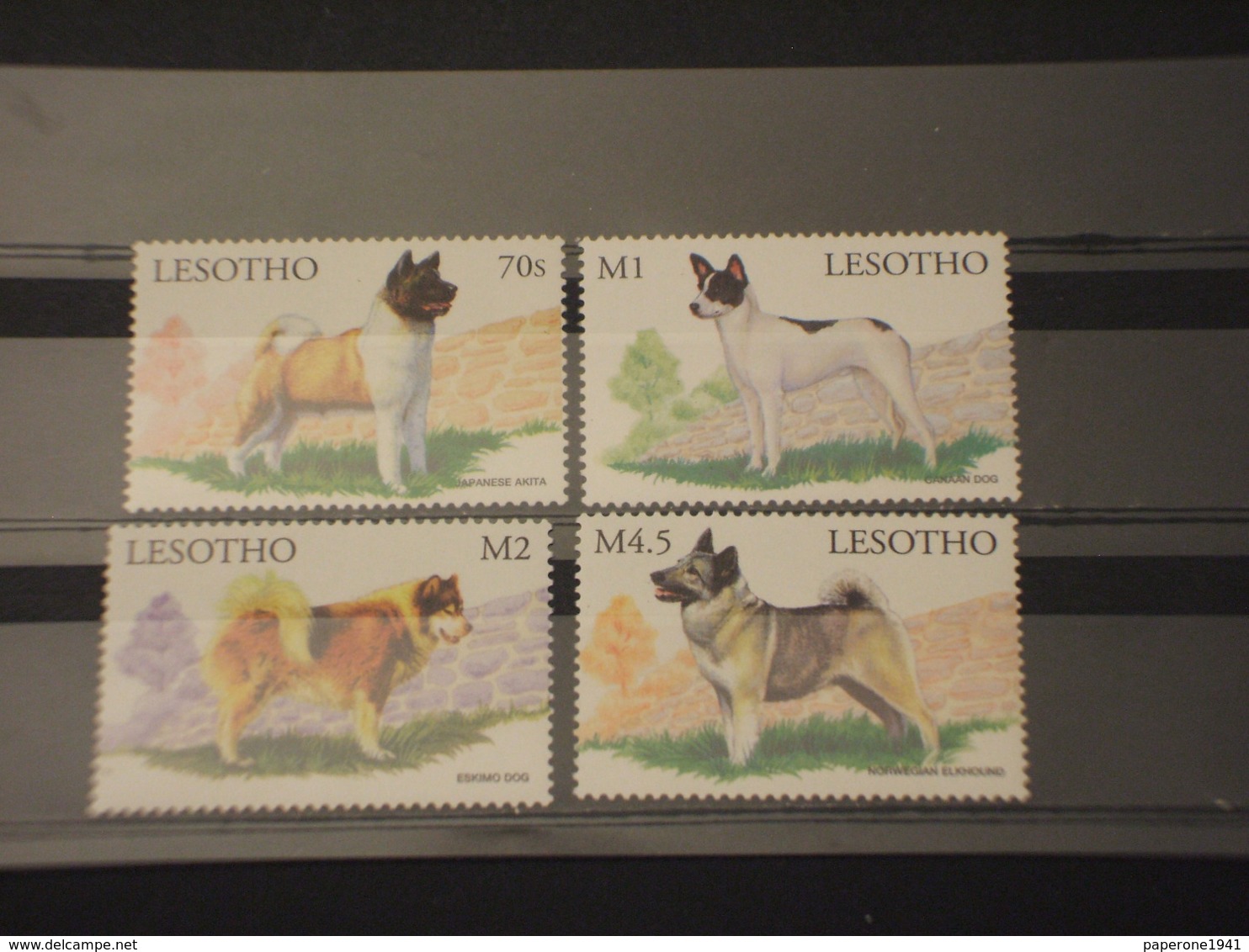 LESOTHO - 1999 CANI 4 VALORI -  NUOVI(++) - Lesotho (1966-...)