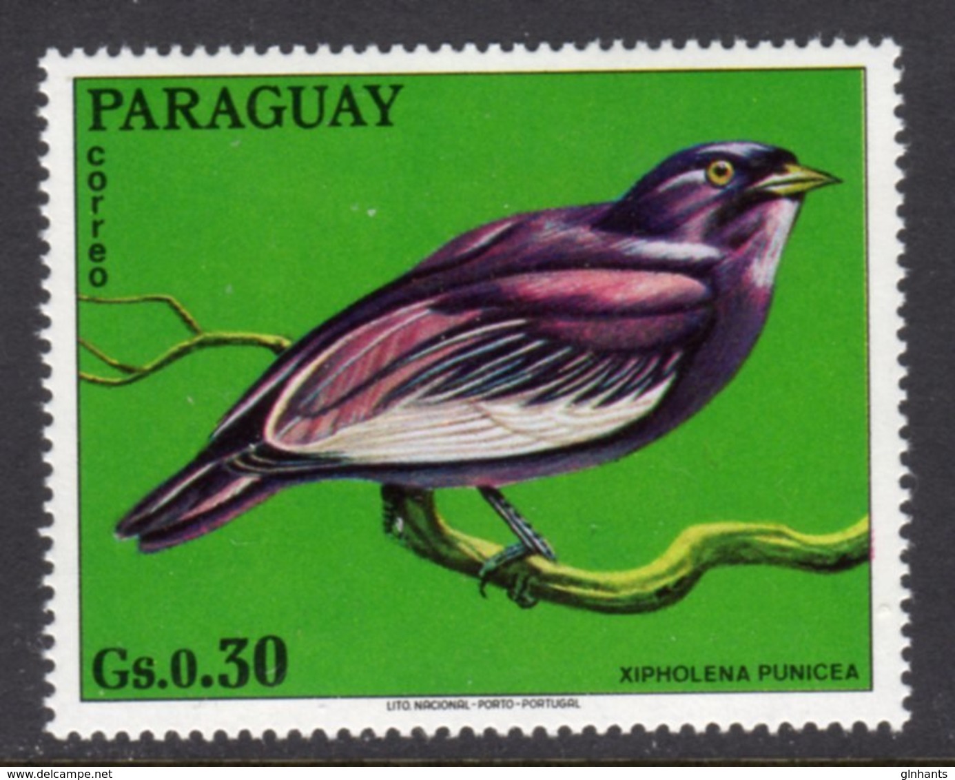 PARAGUAY - 1973 30c WILDLIFE BIRD STAMP FINE MNH ** Mi 2492 - Paraguay
