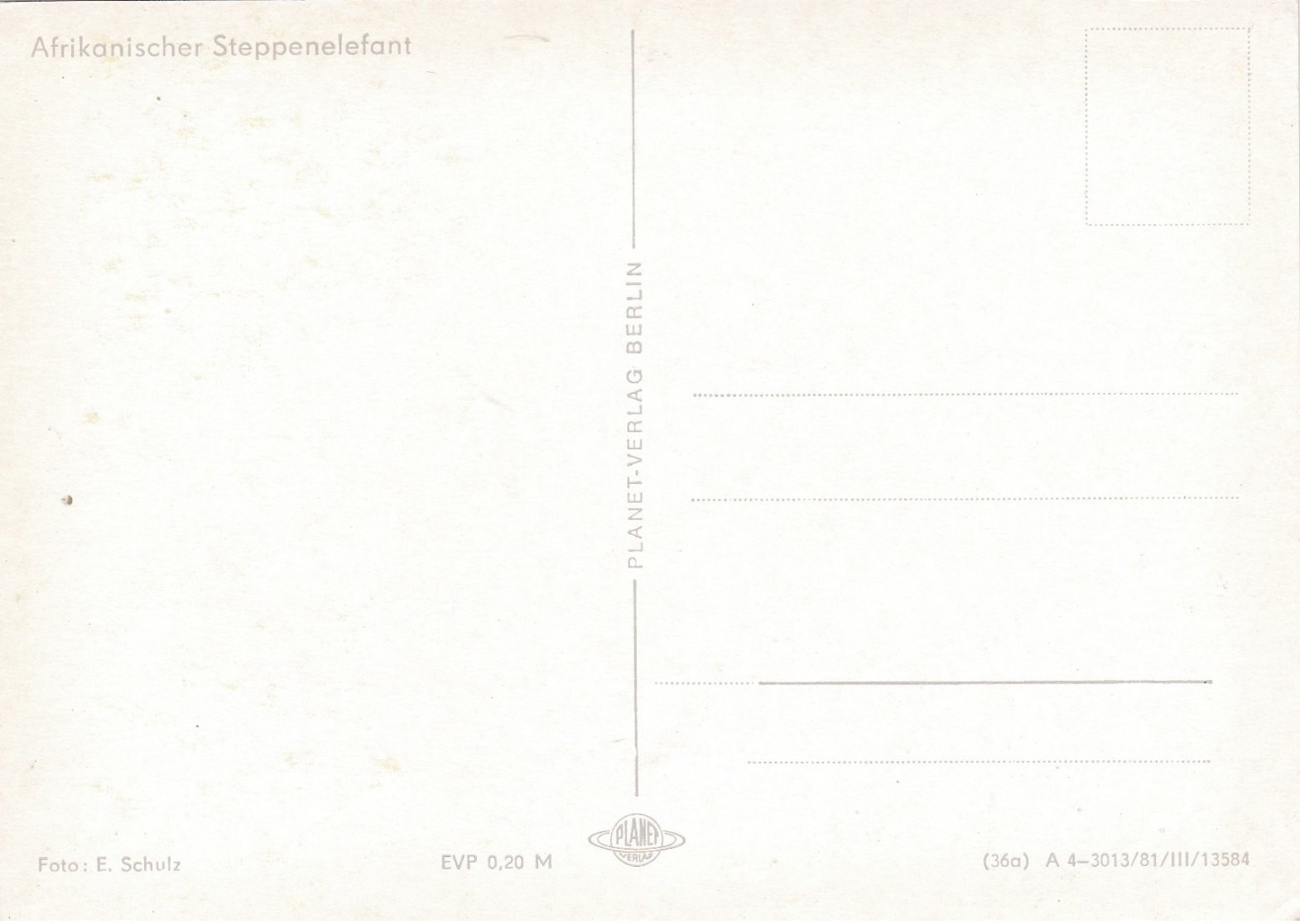 Modern Post Card Of Elephant,X25. - Elephants