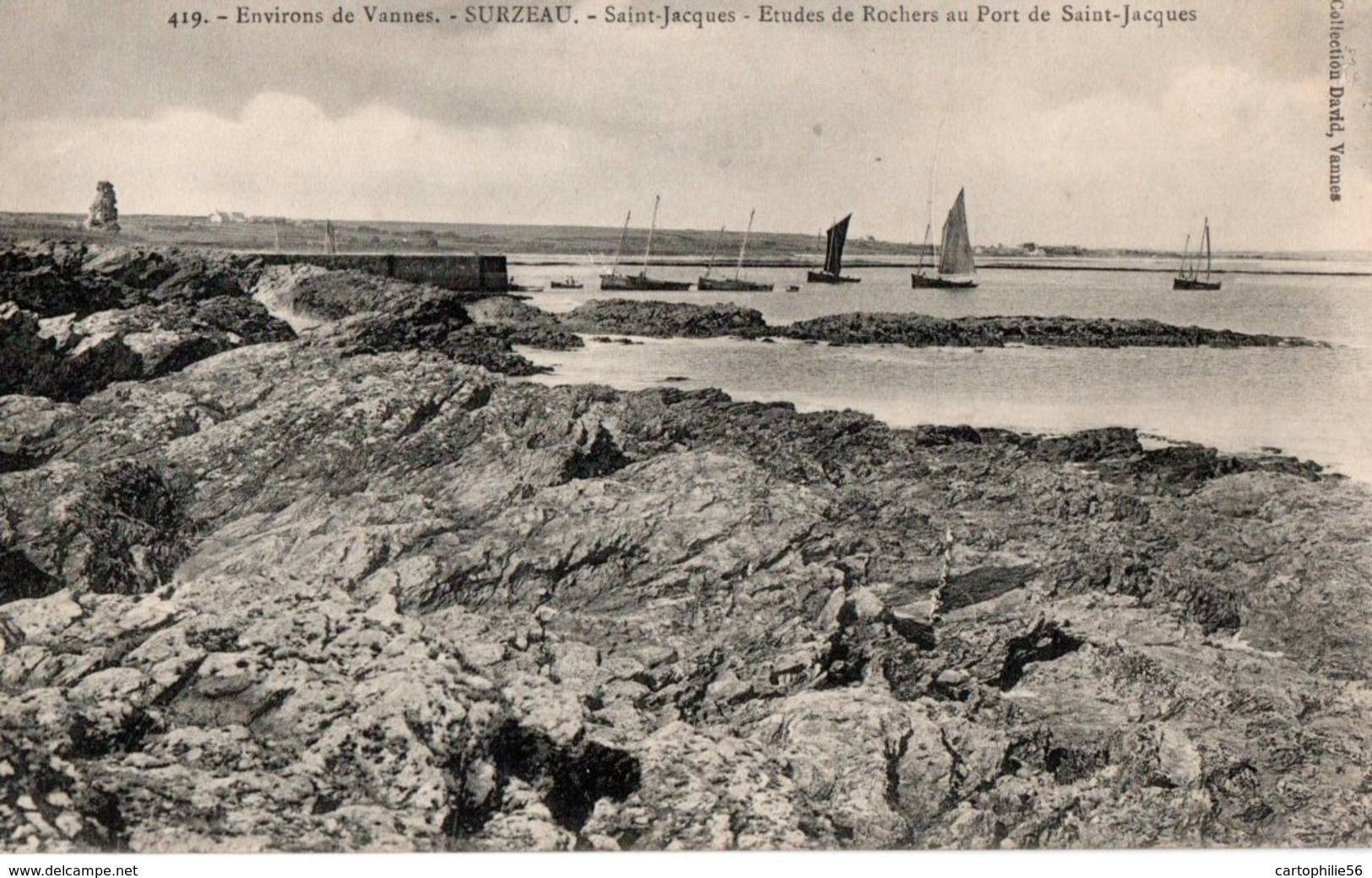 56 - SURZEAU (!) - 419 - Environs De Vannes - Etudes De Rochers Au Port De Saint-Jacques - Autres & Non Classés