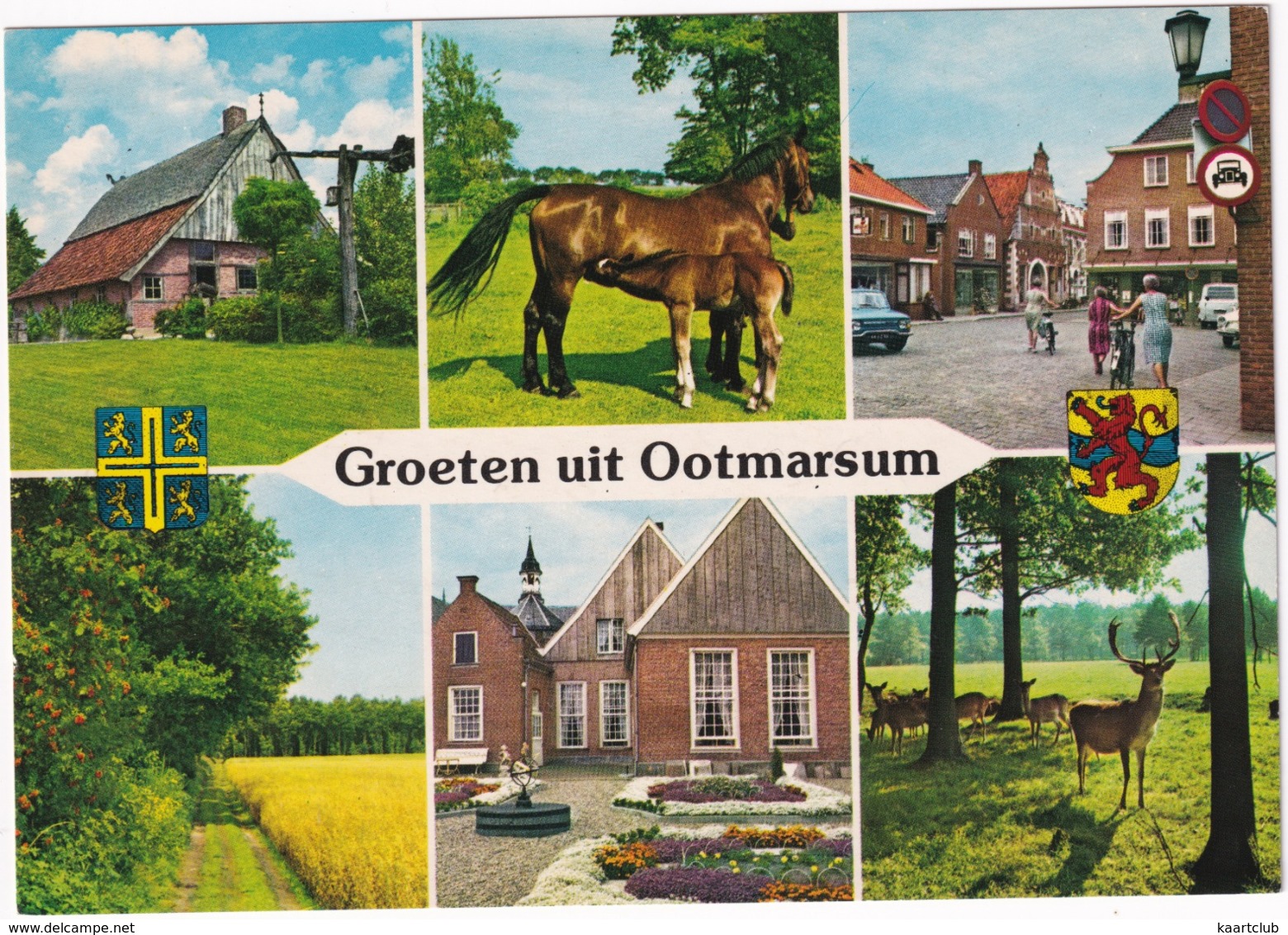 Groeten Uit Ootmarsum - O.a. RENAULT 10, Paard En Veulen, Herten - Ootmarsum