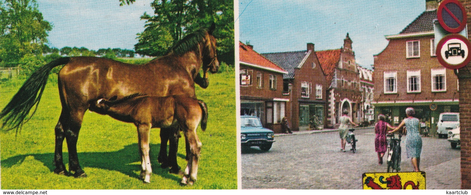 Groeten Uit Ootmarsum - O.a. RENAULT 10, Paard En Veulen, Herten - Ootmarsum