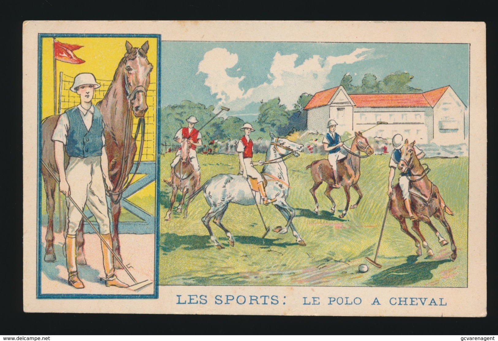 LES SPORTS : LE POLO A CHEVAL - Hippisme