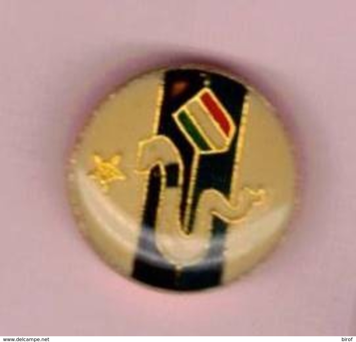 PIN'S - SPILLA - DISTINTIVO -  CALCIO FOOTBALL SQUADRA INTER ( ANNI 80' ? ) - Calcio