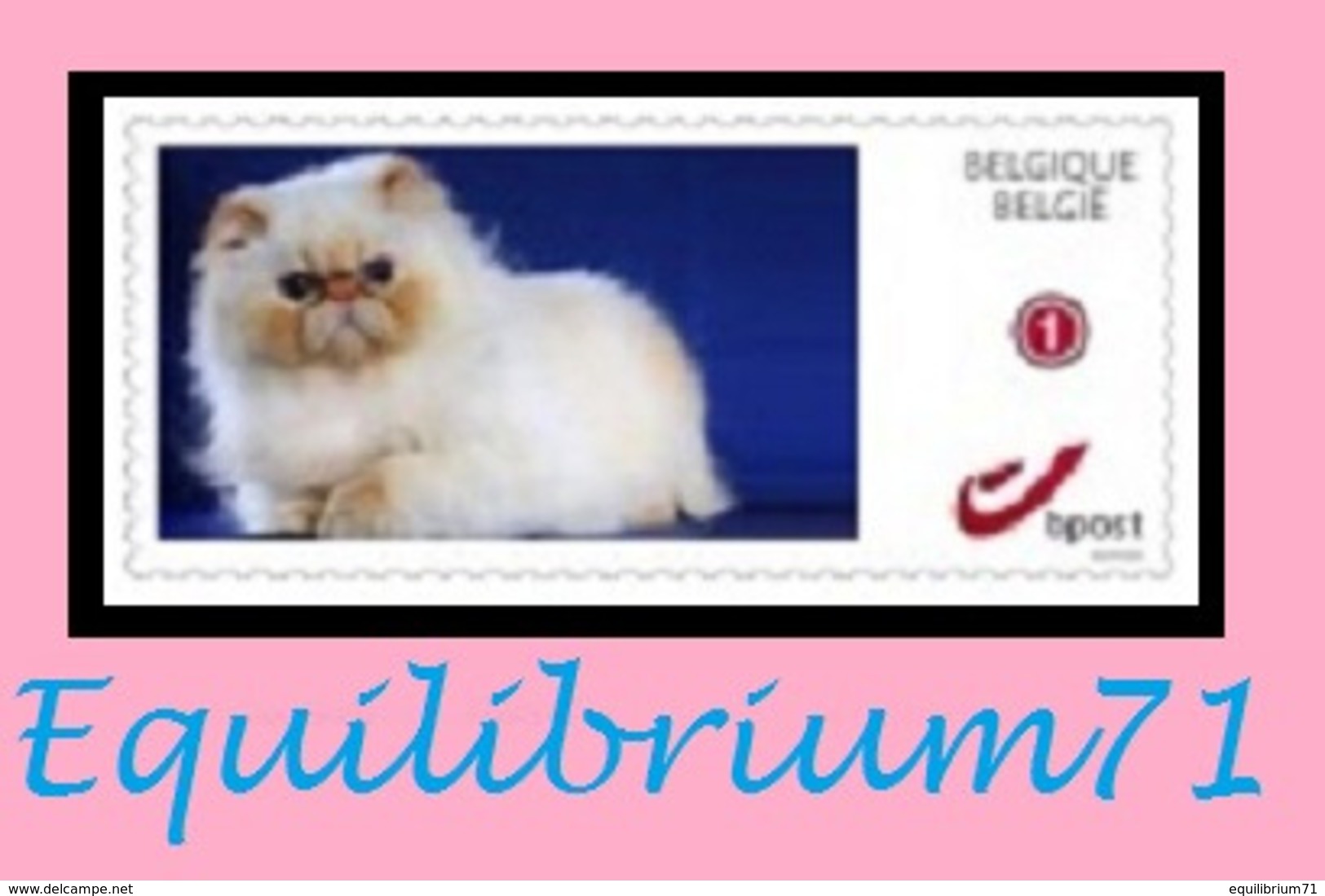 DUOSTAMP** / MYSTAMP** - Chat Persan / Perzische Kat / Persian Cat / Perserkatze - Chats Domestiques