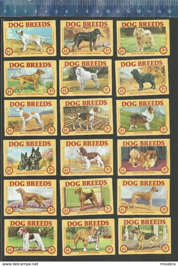 DOG BREEDS  ( BULLDOG SETTER TERRIER POODLE RETRIEVER COLLIE CHOW CHOW ETC... ) CMC Matchbox Labels Finland - Boites D'allumettes - Etiquettes