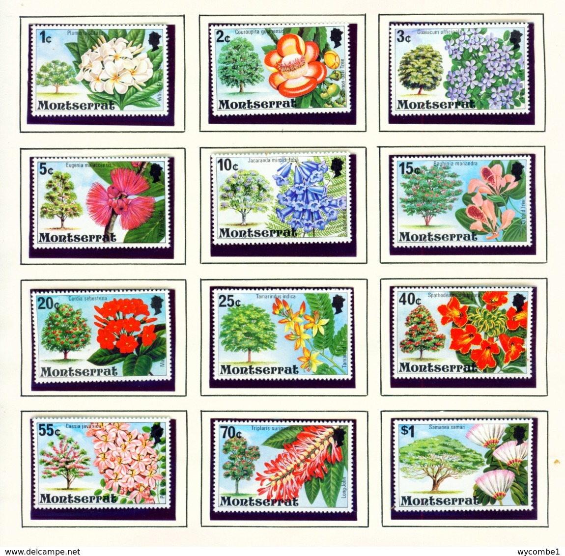 MONTSERRAT - 1976 Flowering Trees Definitives Set Unmounted/Never Hinged Mint - Montserrat