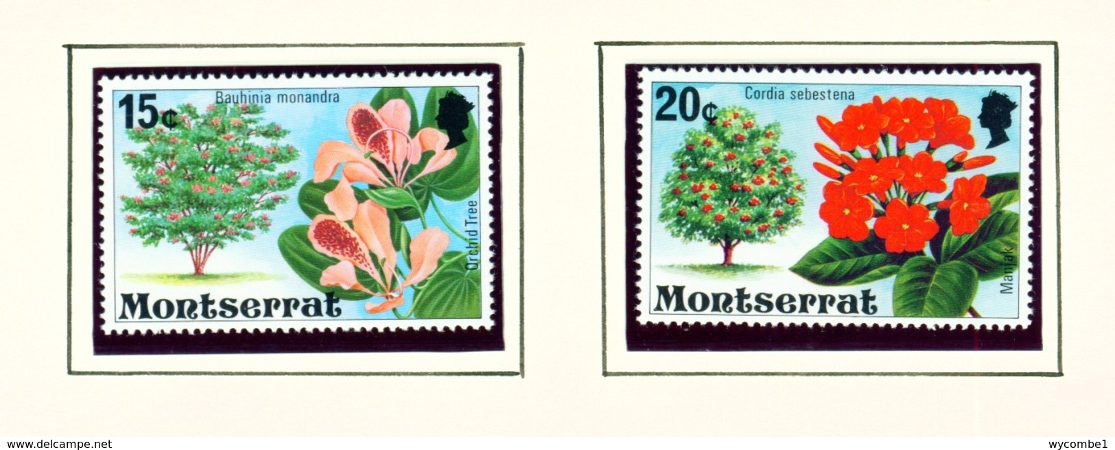 MONTSERRAT - 1980 Flowering Trees Definitives Chalk Surfaced Paper Set Unmounted/Never Hinged Mint - Montserrat