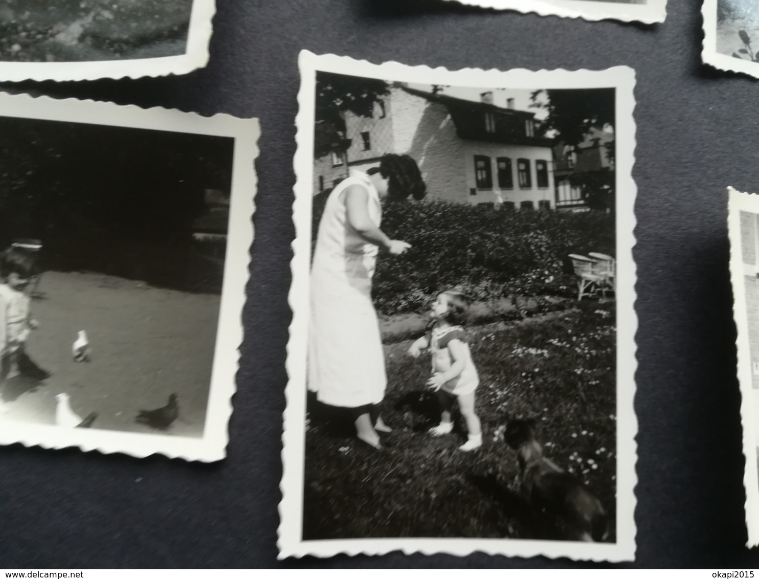 ATTELAGE  CHÈVRE ENFANTS AU PARC DE SPA UNE CARTE - PHOTO DE 1934 + 2 CARTES POSTALES CASCADE MONUMENTALE + 9 PHOTOS