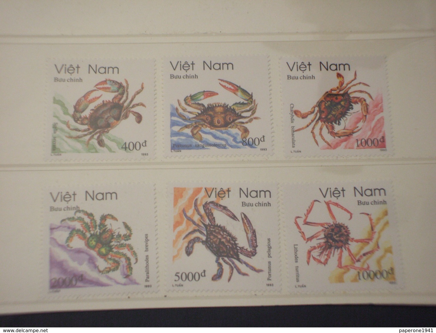 VIETNAM - 1993 FAUNA MARINA 6 VALORI - NUOVI(++) - Vietnam