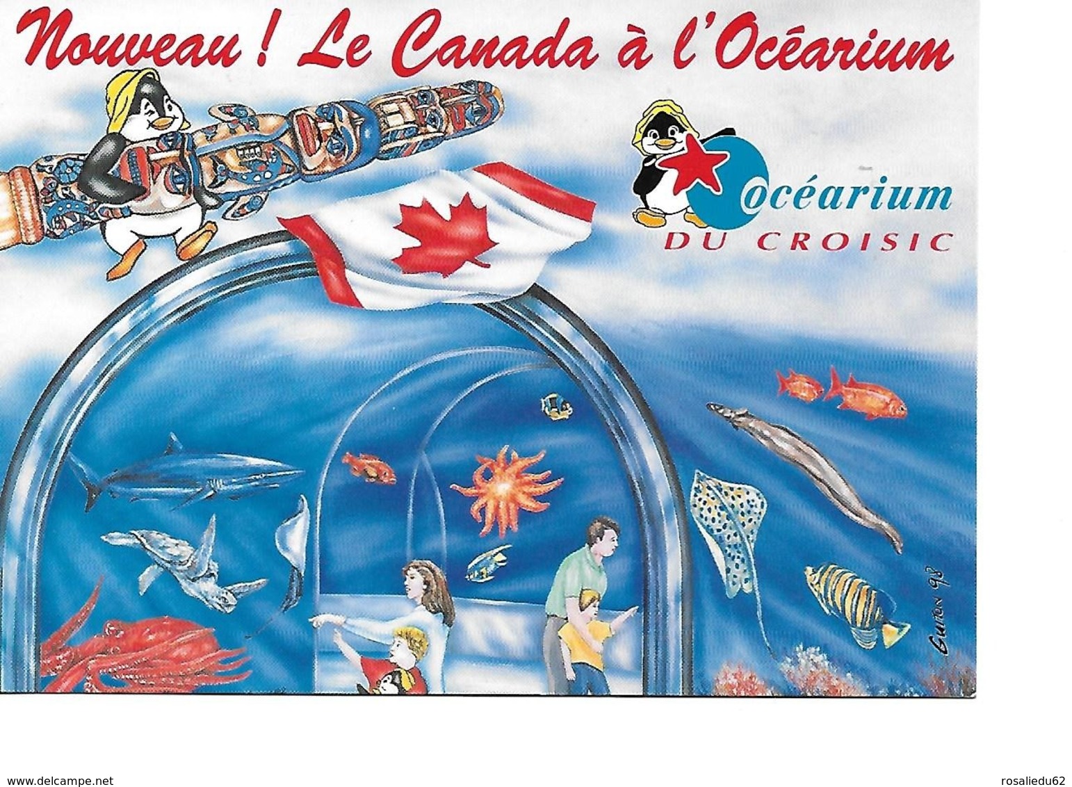 44 LE CROISIC Cpm Nouveau ! Le Canada S'invite à L'Océarium - Le Croisic