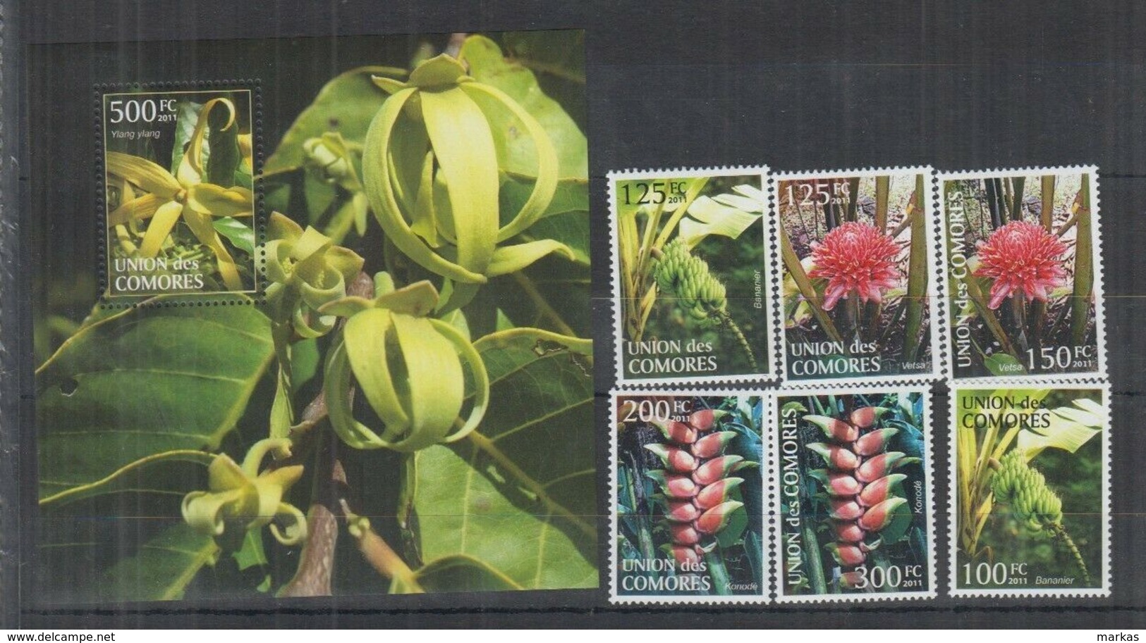M697. Comores - MNH - 2011 - Nature - Flora - Flowers - Fruits - Other & Unclassified
