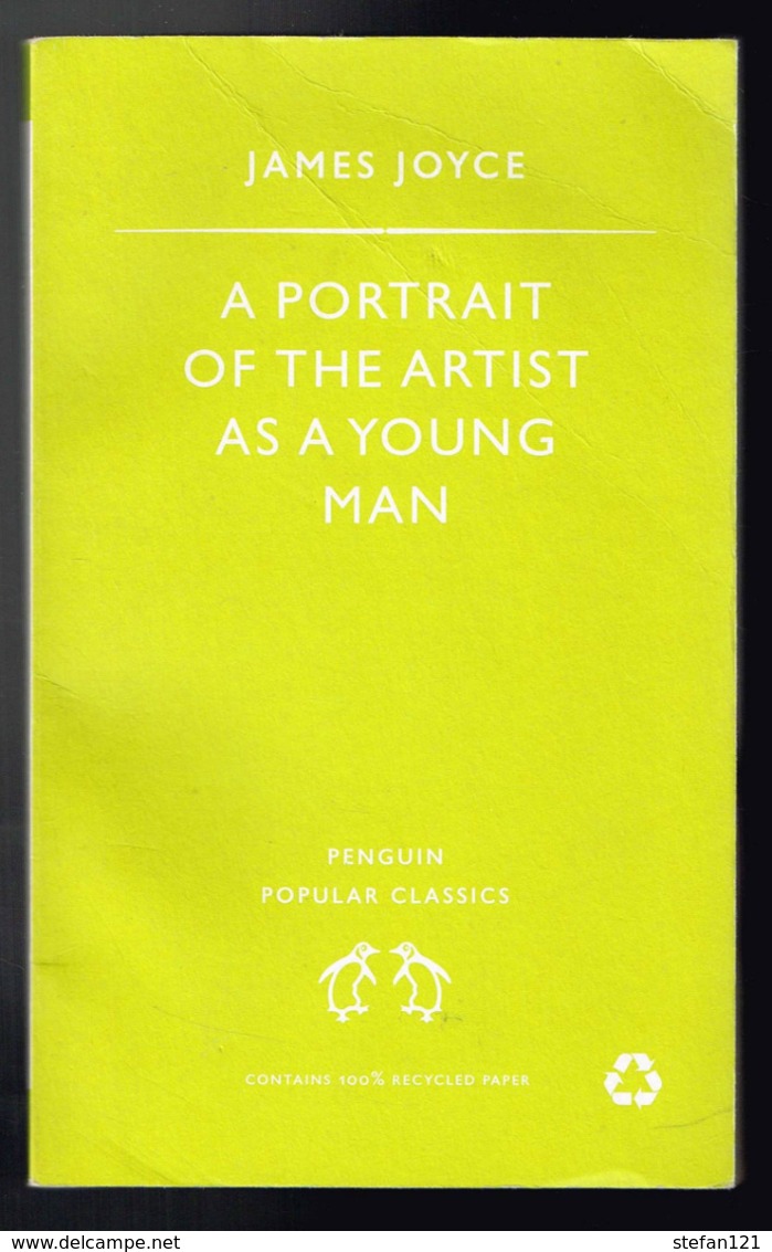 A Portrait Of The Artist As A Young Man - James Joyce - 196 - 288 Pages 18 X 11 Cm - Autres & Non Classés