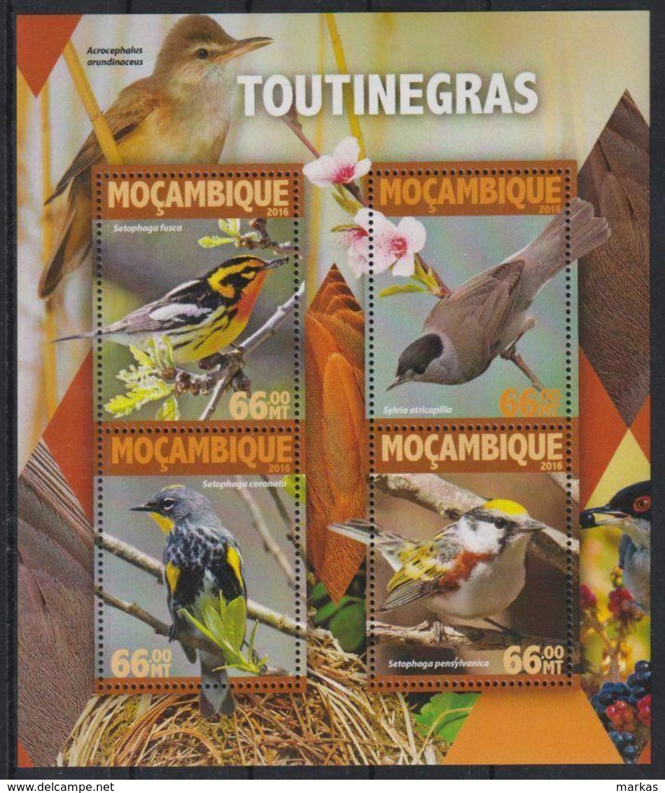 G699. Mozambique - MNH - 2016 - Nature - Animals - Birds - Sonstige & Ohne Zuordnung