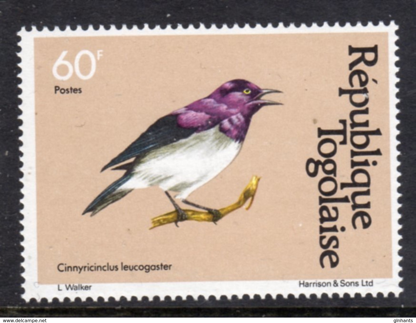 TOGO - 1981 VIOLET STARLING 60c BIRDS STAMP FINE MNH ** SG 1531 - Togo (1960-...)