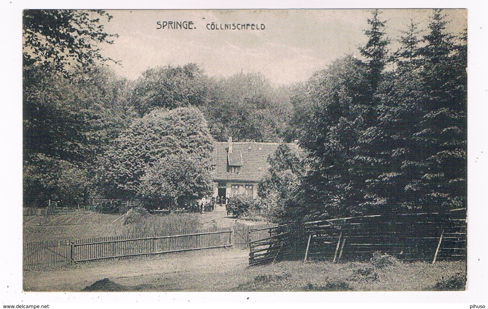 D-9818  SPRINGE : Cöllnischfeld - Springe