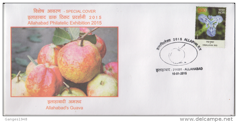 India  2015  Fruits  Guava  Of Allahabad Special Cover # 60123  Inde  Ind - Fruits