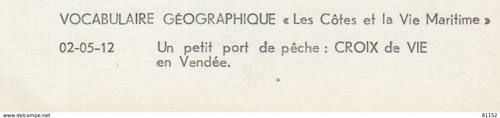 85 CROIX DE VIE " Port De Peche "  Mini Photo Type CPSM 7x13 Cm Dentelée VUE AERIENNE Du VOCABULAIRE GEOGRAPHIQUE - Saint Gilles Croix De Vie