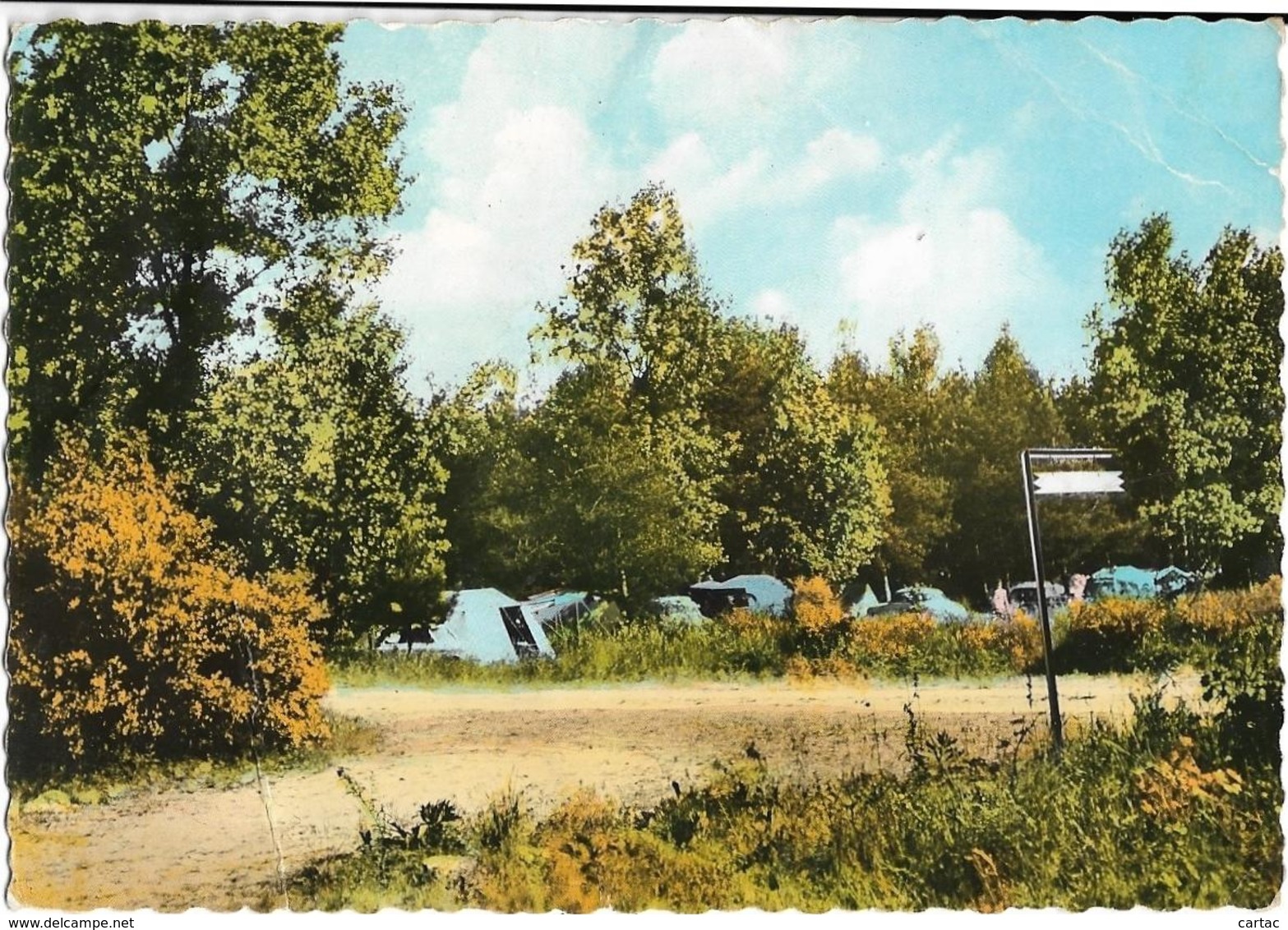 D45 - OUVROUER LES CHAMPS PAR JARGEAU - CAMPING SANTA LUCIA-CPSM Dentelée Colorisée Grand Format - Autres & Non Classés