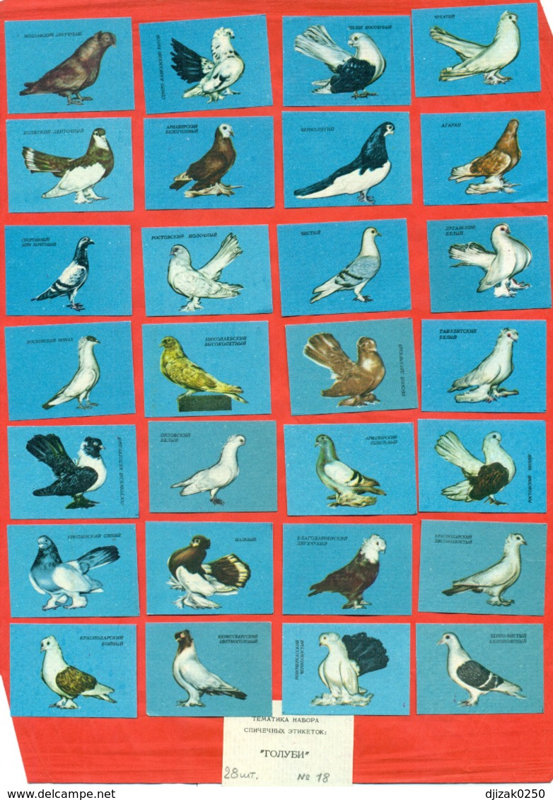 USSR 1966. Breeds Of Pigeons. 28 Match Labels. - Matchboxes