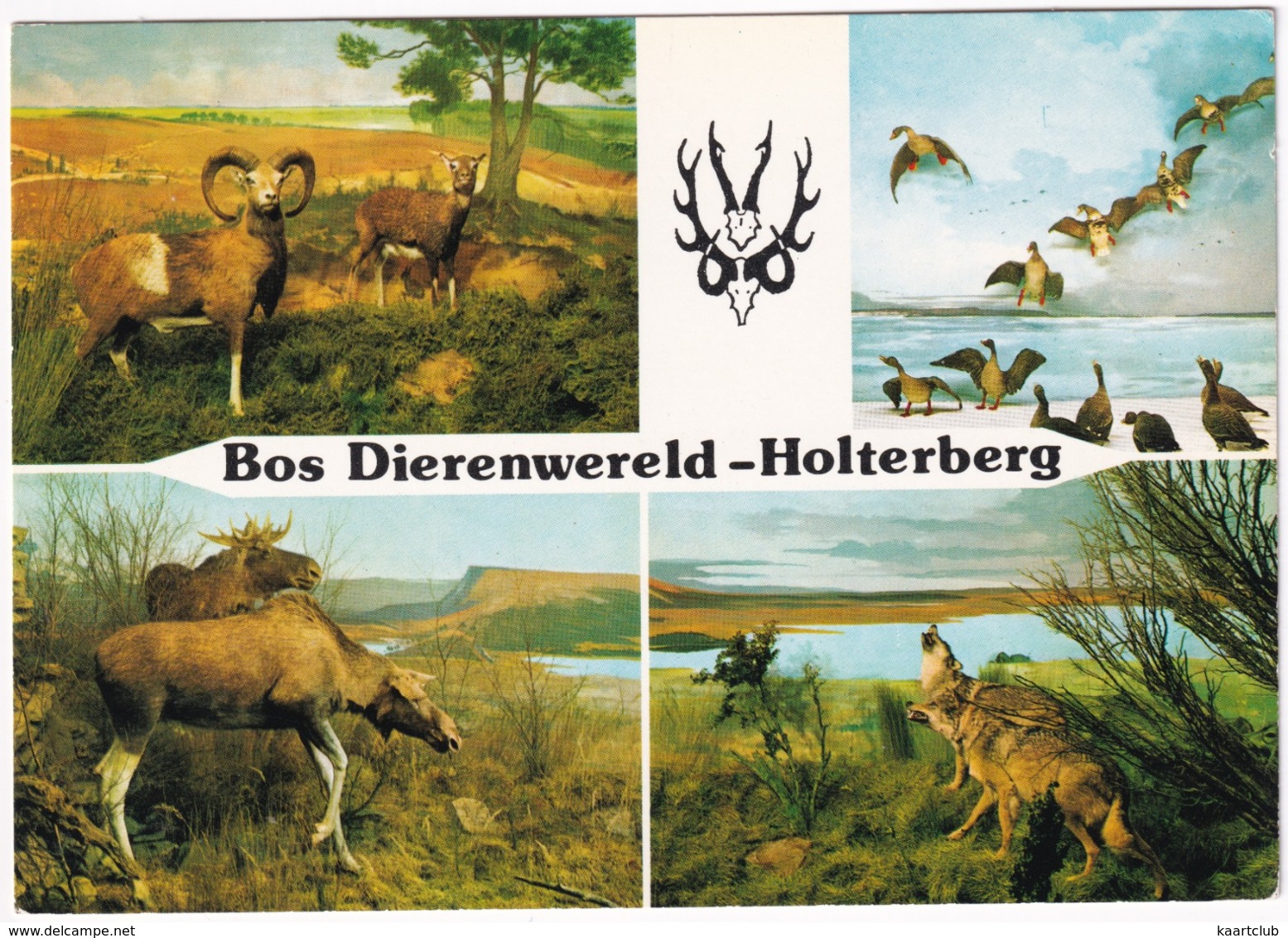 Holten - 'BOS DIERENWERELD' , Holterbergweg 12 - Holterberg - Holten