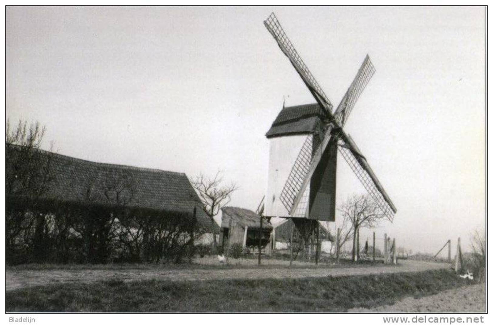 VLISSEGEM ~ De Haan (W.Vl.) - Molen/moulin - Maxikaart Van De Verdwenen Vijfwegemolen Of Dorpsmolen. TOP !!! - De Haan