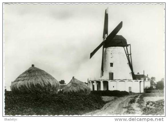 SEMMERZAKE Bij Gavere (O.Vl.) - Molen/moulin - Typische Stellingmolen Met Stenen Gaanderij Tussen Hooibergen E.d. TOP! - Gavere