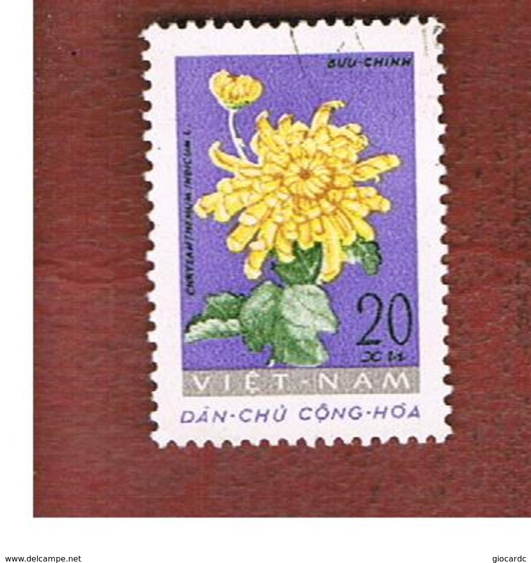 NORTH VIETNAM - SG N211  -     1962 FLOWERS: CHRYSANTHEMUM          -  USED - Vietnam