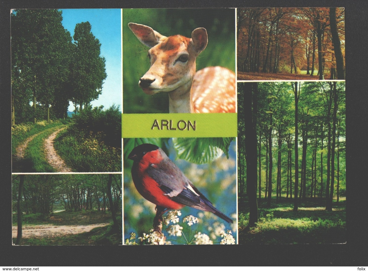 Arlon - Carte Multivues - Hert / Ree / Biche / Cerf - Arlon