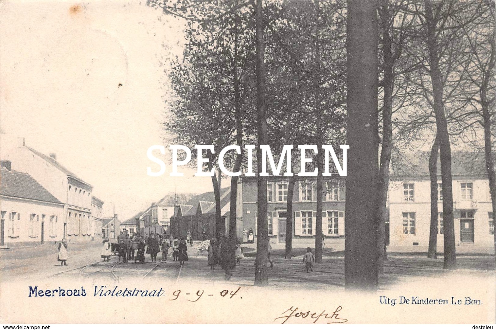 Violetstraat - Meerhout - Meerhout