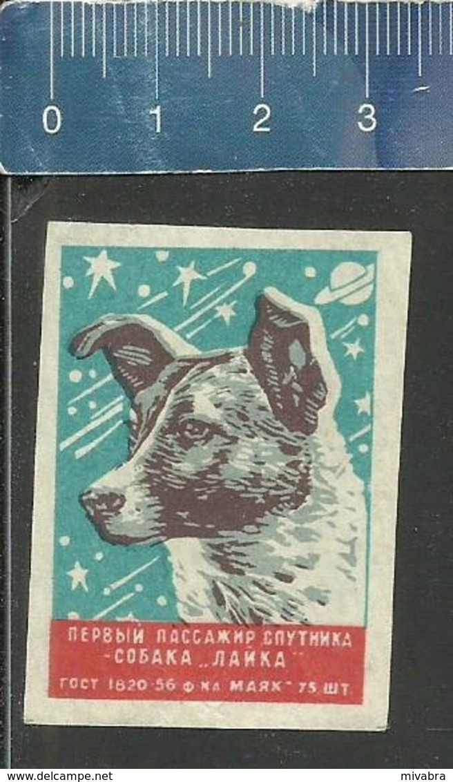 SPACE DOG  LAIKA ESPACE SPACE RUIMTEVAART RAUM KOSMOS Matchbox Label URSS - Boites D'allumettes - Etiquettes