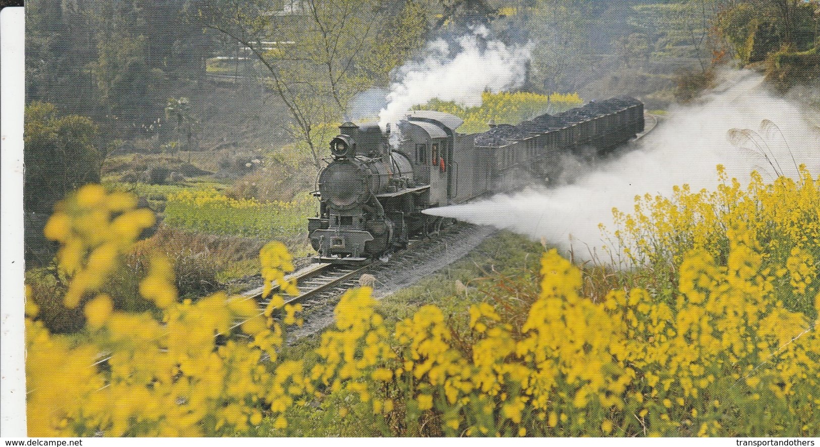 JIAYANG NARROW-GAUGE STEAM TRAIN   /A ---- SLIGHT BEND/CREASE BOTTOM RIGHT CORNER - Trains