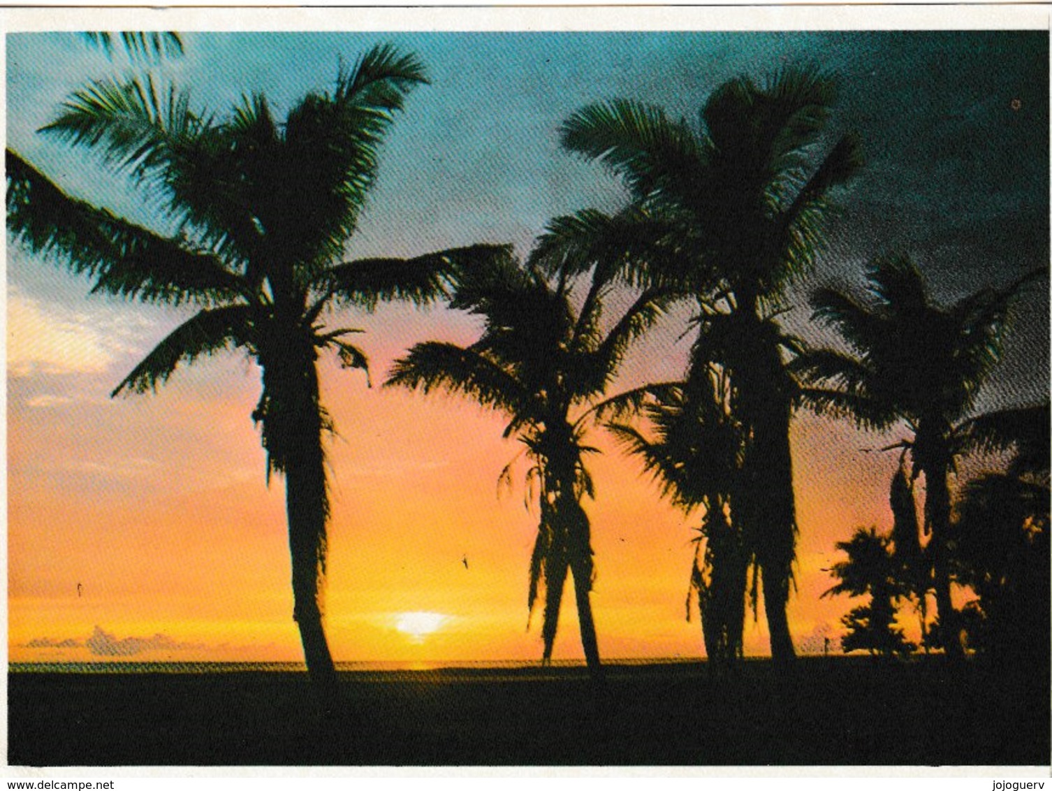 Sunset Over The Guiklf On Florida ' S West Coast ( Palmier , Coucher De Soleil - West Palm Beach