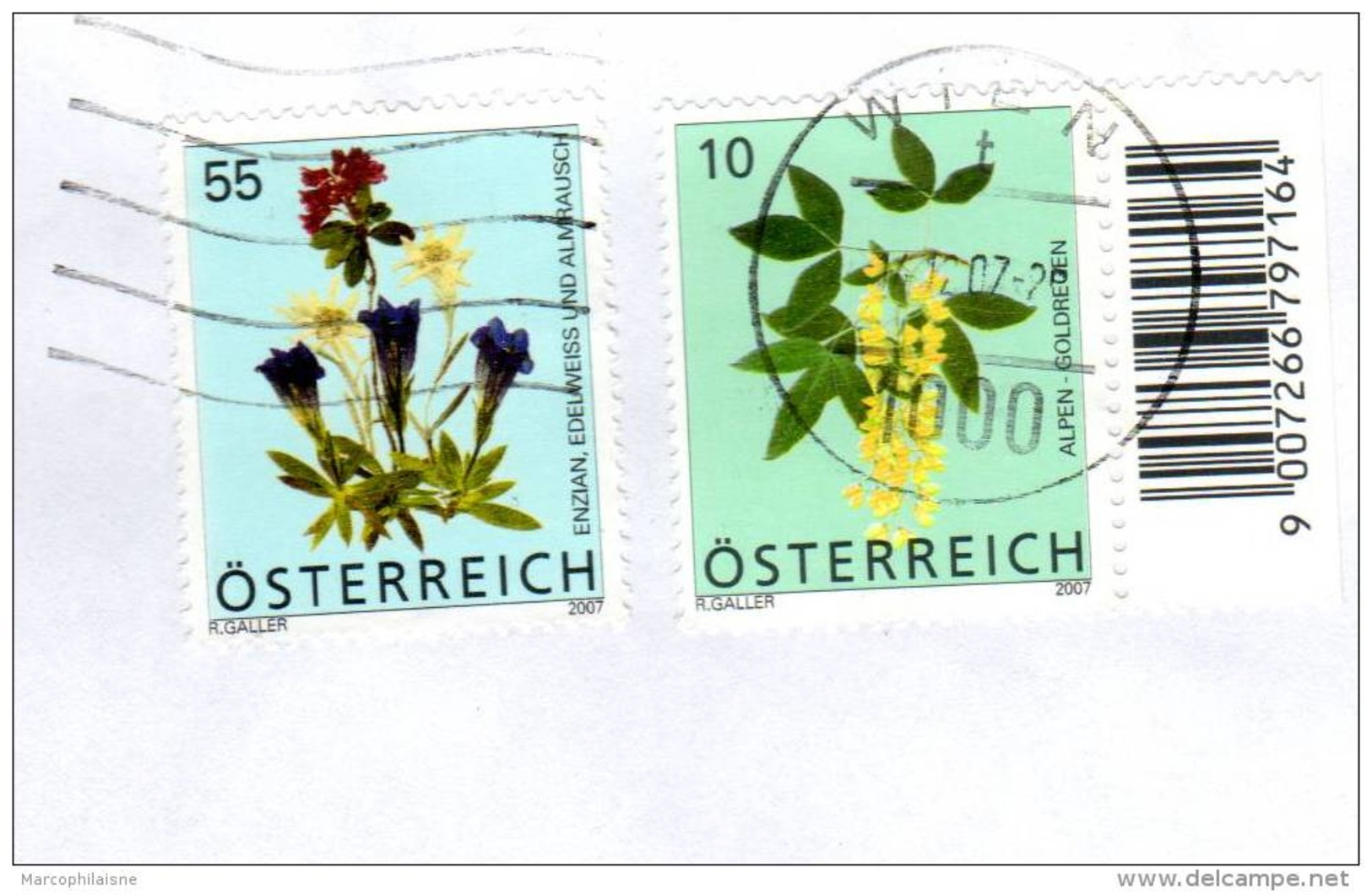 Autriche Timbres Fleurs De Montagne 2007 Sur Enveloppe - Storia Postale